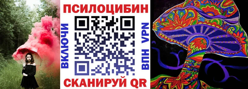 Псилоцибиновые грибы Psilocybe  Сельцо 
